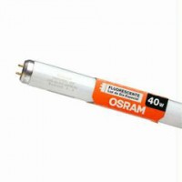 LAMPADA FLUORESCENTE TUBULAR SALAO ONIBUS LUZ BRANCA 40W OSRAM FLUOR40